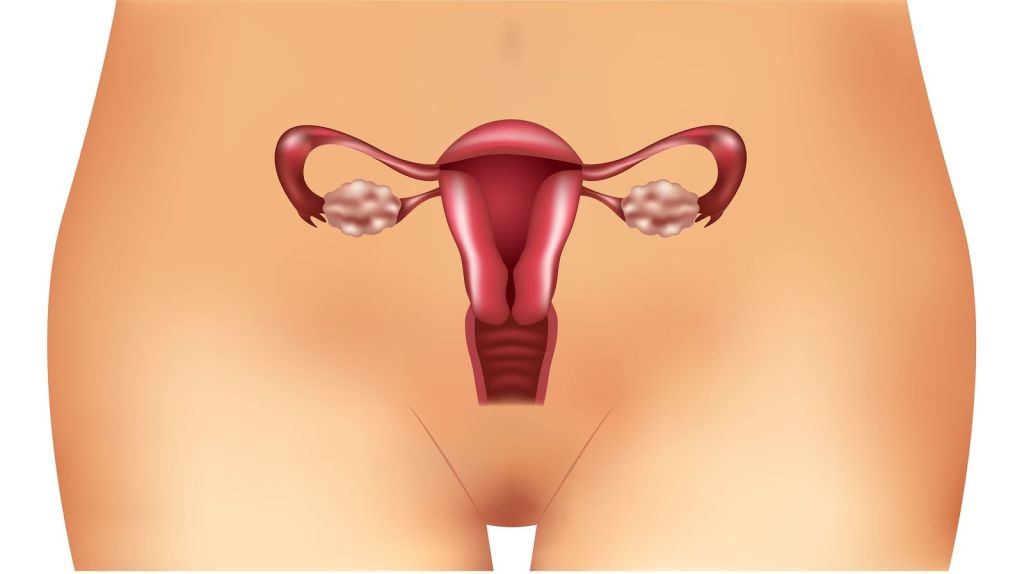 ovario poliquistico