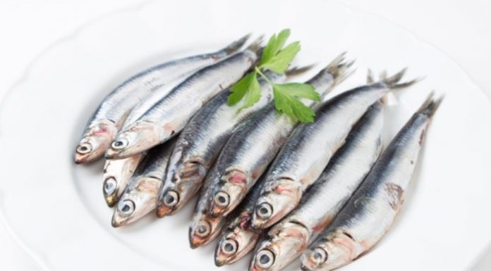 ¿Se pueden comer anchoas en el embarazo? anchoas